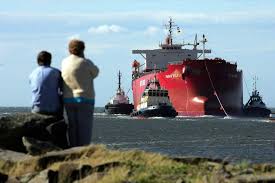 Image result for Pasha bulker