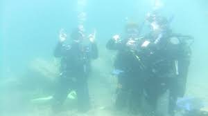 Image result for TAL Divers