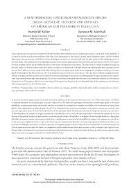 Attēlu rezultāti vaicājumam “Liceaceae”