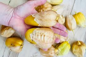 Attēlu rezultāti vaicājumam “Galium schultesii fruit”