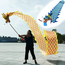 Image result for TRIANGLE CHANGQUAN FLYING DRAGON