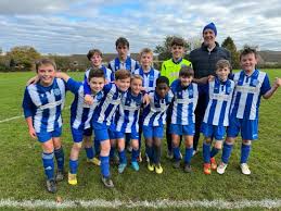 Image result for Chiddingfold Youth Fc