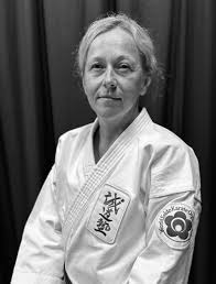 Image result for Aylesbury Vale Seido Karate