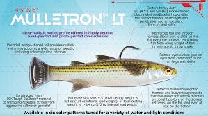 Image result for biojack tehron