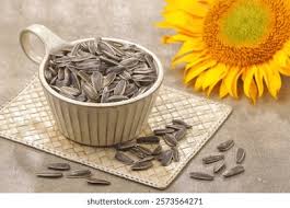 Attēlu rezultāti vaicājumam “Helianthus annuus fruit”