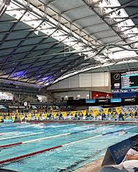 Image result for Worcester Swimming Club