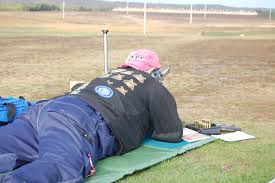 Image result for Darlington RA small-bore and Field target Club