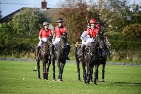 Image result for Reading University Riding Club