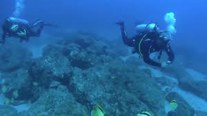 Image result for Eltham and District Sub Aqua Club