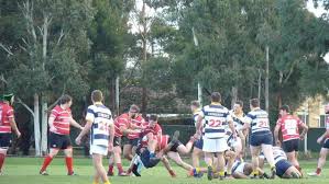 Image result for Melbourne Rugby Football Club