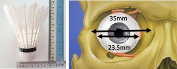 Image result for Eye Badminton Club