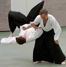Image result for White Oak Aikido Reading