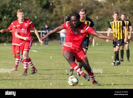 Image result for Cockfosters Football Club