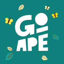 Image result for Go Ape! Whinlatter