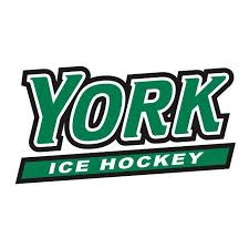 Image result for York University Hockey Club