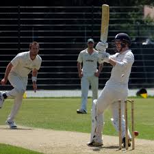 Image result for Mellis Cricket Club