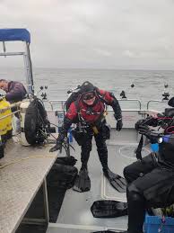 Image result for London Hellfins