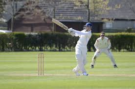 Image result for Parley Cricket Club
