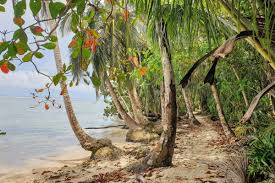 Image result for cahuita costa rica