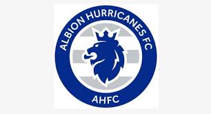 Image result for Staines Albion Fc