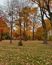 Image result for $$fall_akte__ort$$