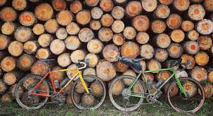 Image result for ProBikeKit