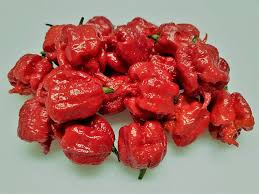 Afbeeldingsresultaat voor 7 pot hot pepper