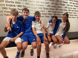 Image result for Northern Lawn Tennis Club Ltd