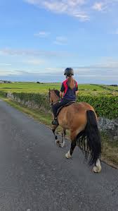 Image result for Devizes Dazzlers