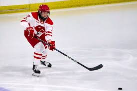 Image result for York University Street Hockey Club