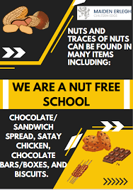 Image result for maiden Erlegh Subbuteo Club