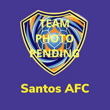 Image result for Tongham Boys Under 9`s Football Club