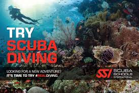 Image result for Stalybridge Snorkel Club