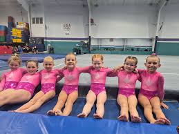 Image result for Mo-Gylity Gymnastics Club