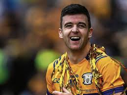 Image result for Clarehurlers