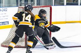 Image result for Streatham Youth Ice Hockey Club