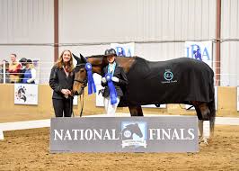 Image result for Stoneleigh Riding Club