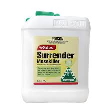 Attēlu rezultāti vaicājumam “Petractis sp.”