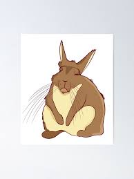 Image result for viscacha