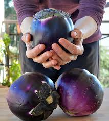 Afbeeldingsresultaat voor fengyuan purple eggplant