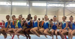 Image result for Basingstoke Gymnastics Club
