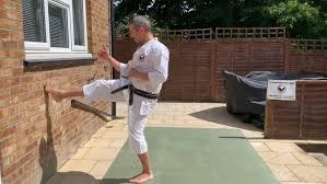 Image result for Kenshukai Karate