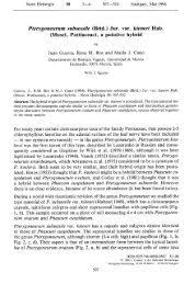 Attēlu rezultāti vaicājumam “Serpoleskea subtilis sporophyte”