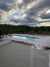 Image result for Elmbridge Phoenix Swimming Club