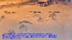 Image result for 土井ヶ浜遺跡　視線　故郷