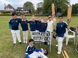 Image result for Mitcham Cricket Club