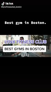 Image result for Lynx Gymnastics Club