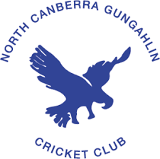 Image result for Nazeing Common Cricket Club