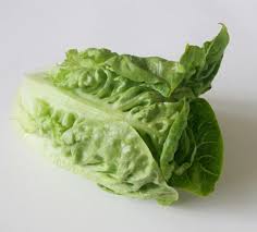 Image result for Römischer Salat