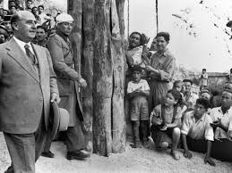 Image result for foto de fraco